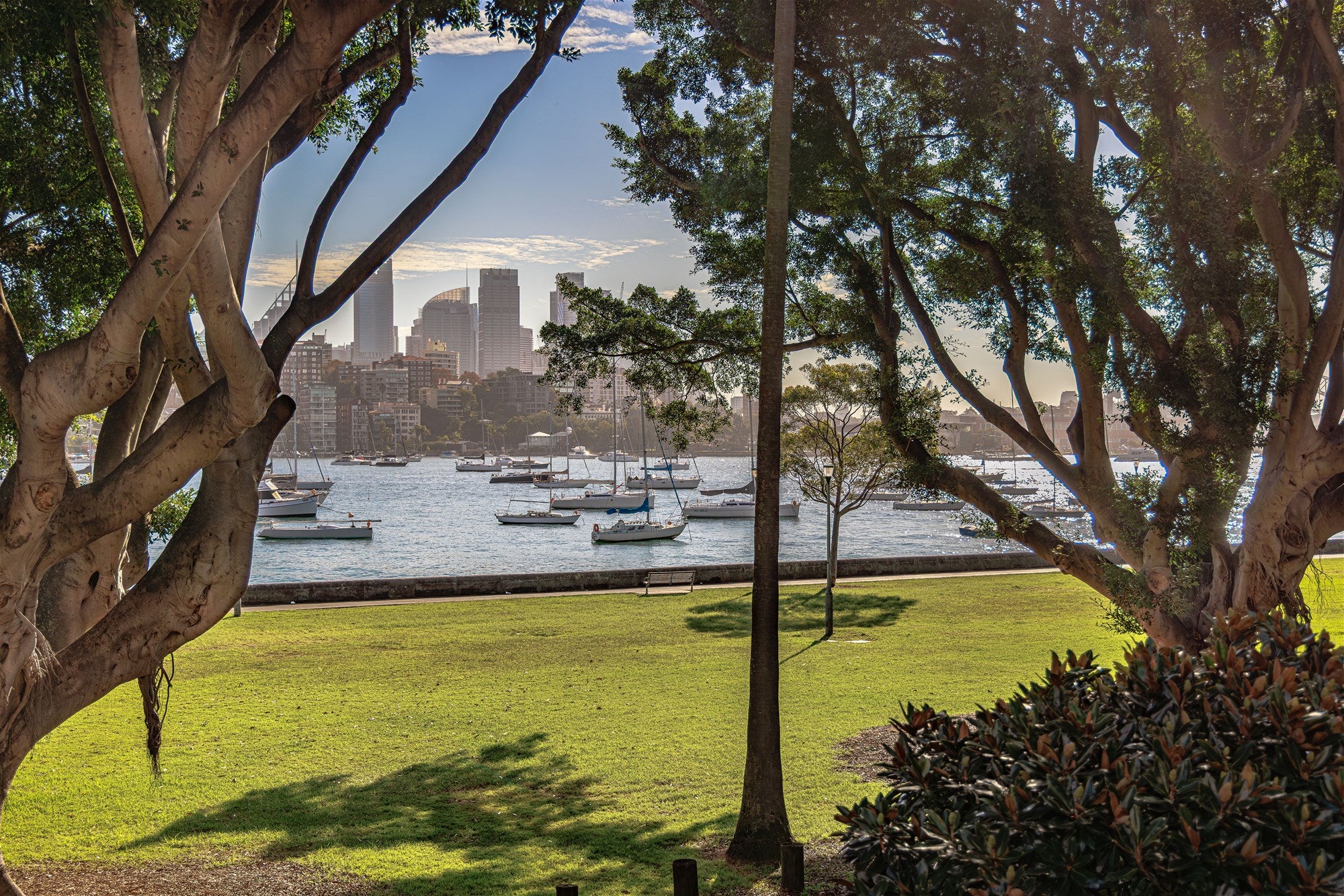 Darling Point